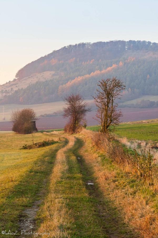 شقة Qi Gong Haus Rossdorf  المظهر الخارجي الصورة